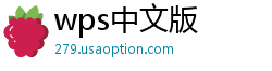 wps中文版